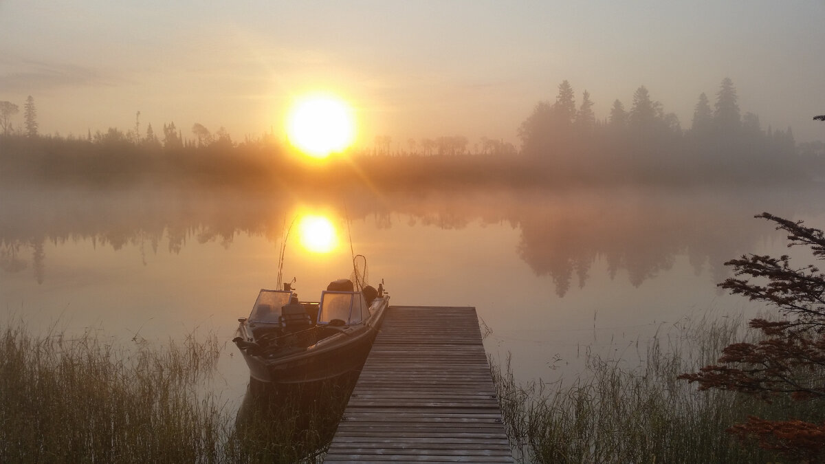 Яндекс картинки