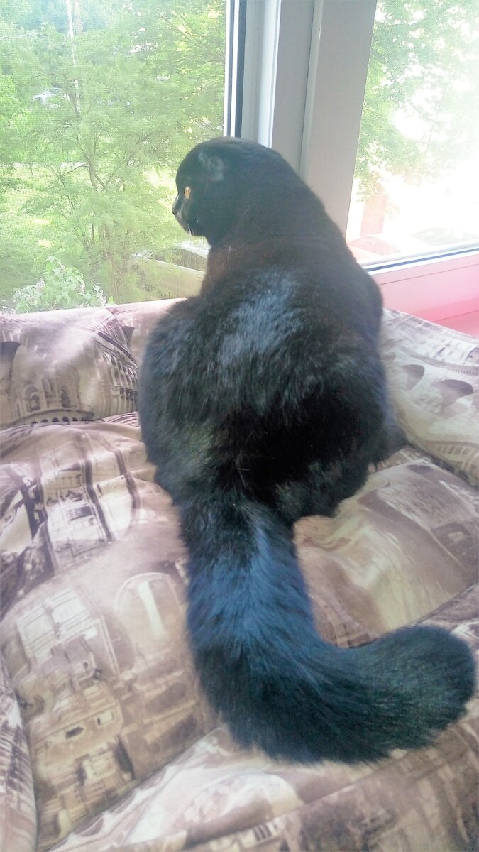 Благодарю за фото Марину АБРОЧНОВУ)