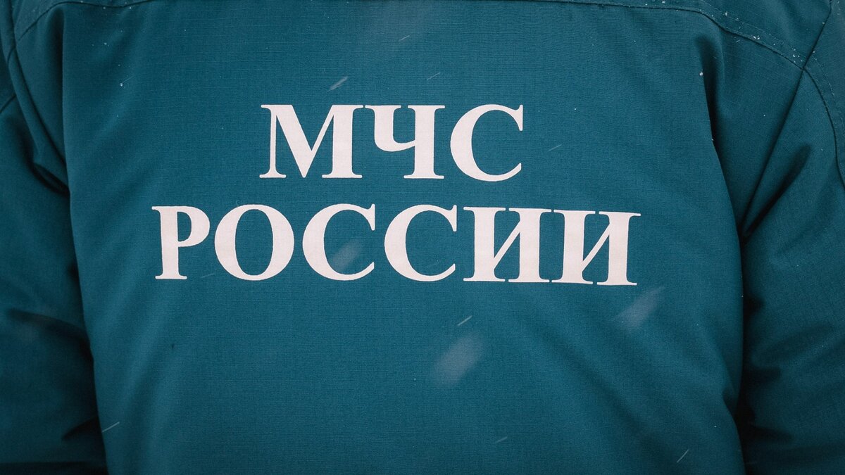     Спасатели вскрывали дверь в квартиру. Подробности нашему изданию рассказали в пресс-службе регионального МЧС.