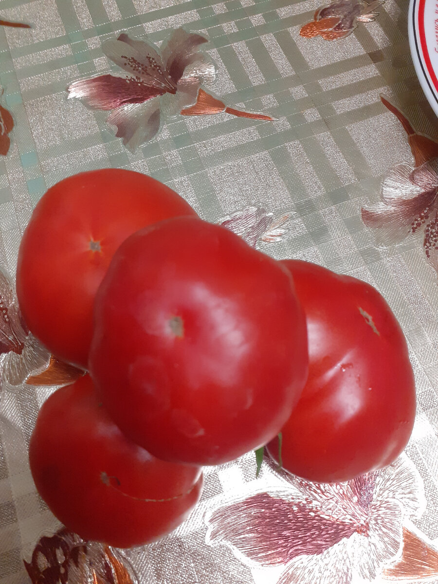 Урожай прошлого 2022 года