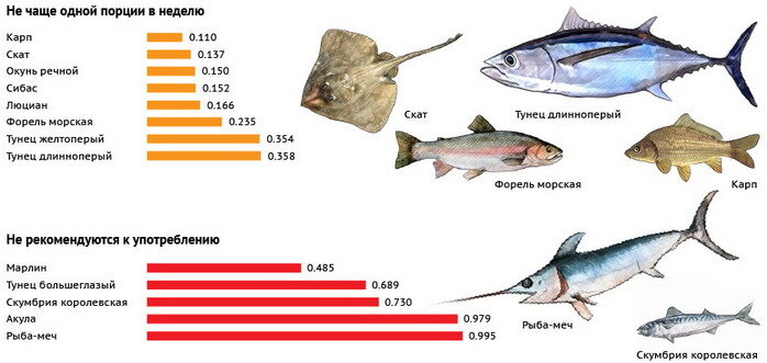 Почему есть рыбу может быть опасно для здоровья экспертное мнение