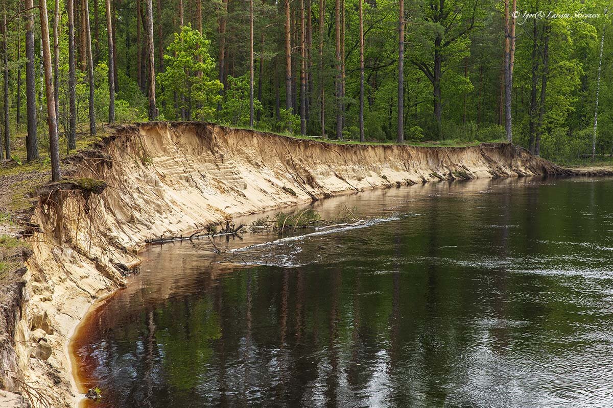 Болота мещерский край. Мещера заборье. Мещера 3. Река пра рязанская карелия. Мещера 3.