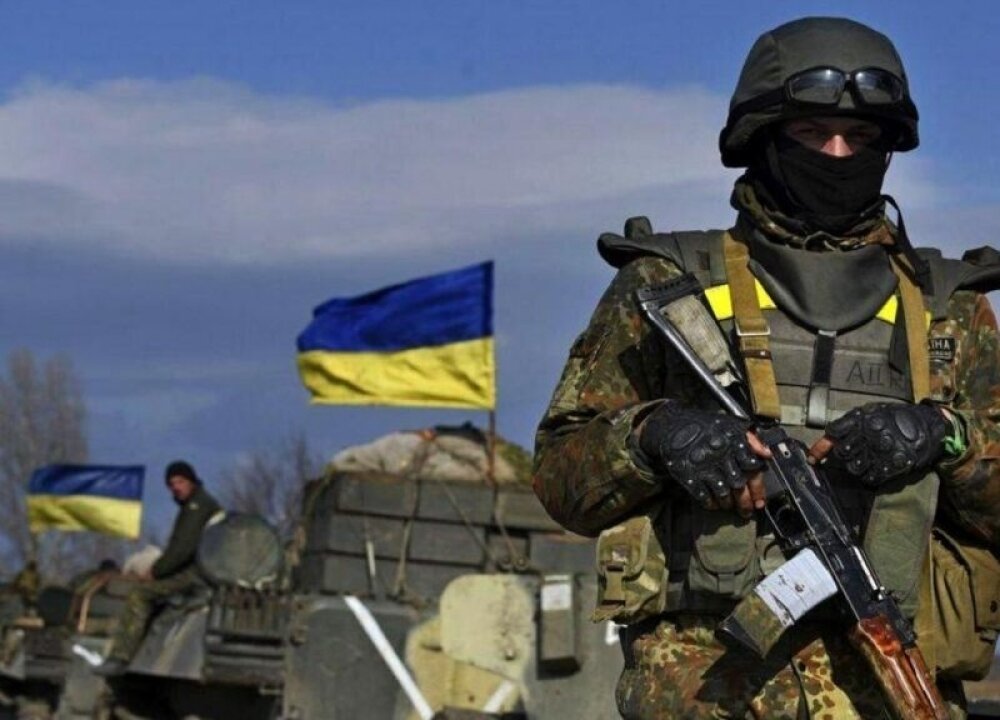    Британская разведка назвала кустарники сдерживающим наступление ВСУ фактором