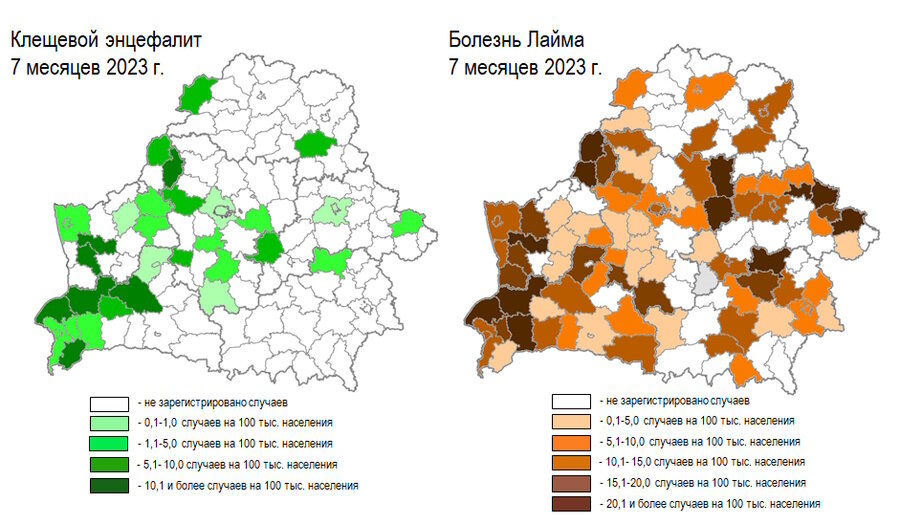   Инфографика: Республиканский центр гигиены, эпидемиологии и общественного здоровья
