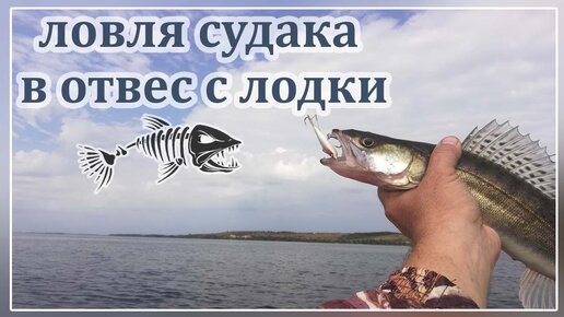 Ловля судака в отвес с лодки. Судак на балансир.Ловля судака