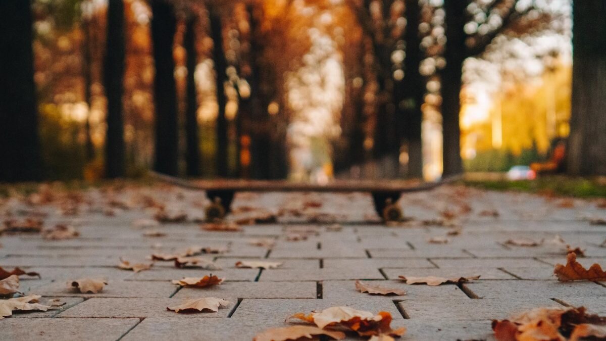    Фото: Unsplash Рашид Ахмежанов