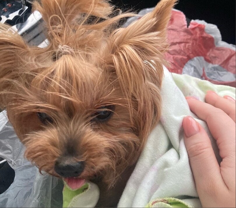    Многие старались прогнать малышку с дороги, но мало кто остановился, чтобы помочь Мария Материкова