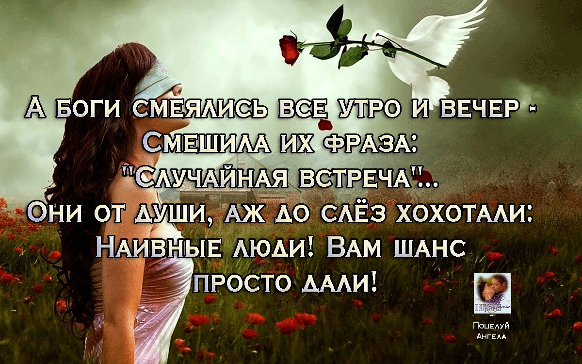 Просто позволь. А боги смеялись. Смешила их фраза случайная встреча. А боги смеялись весь день и весь вечер. А боги смеялись случайная встреча.