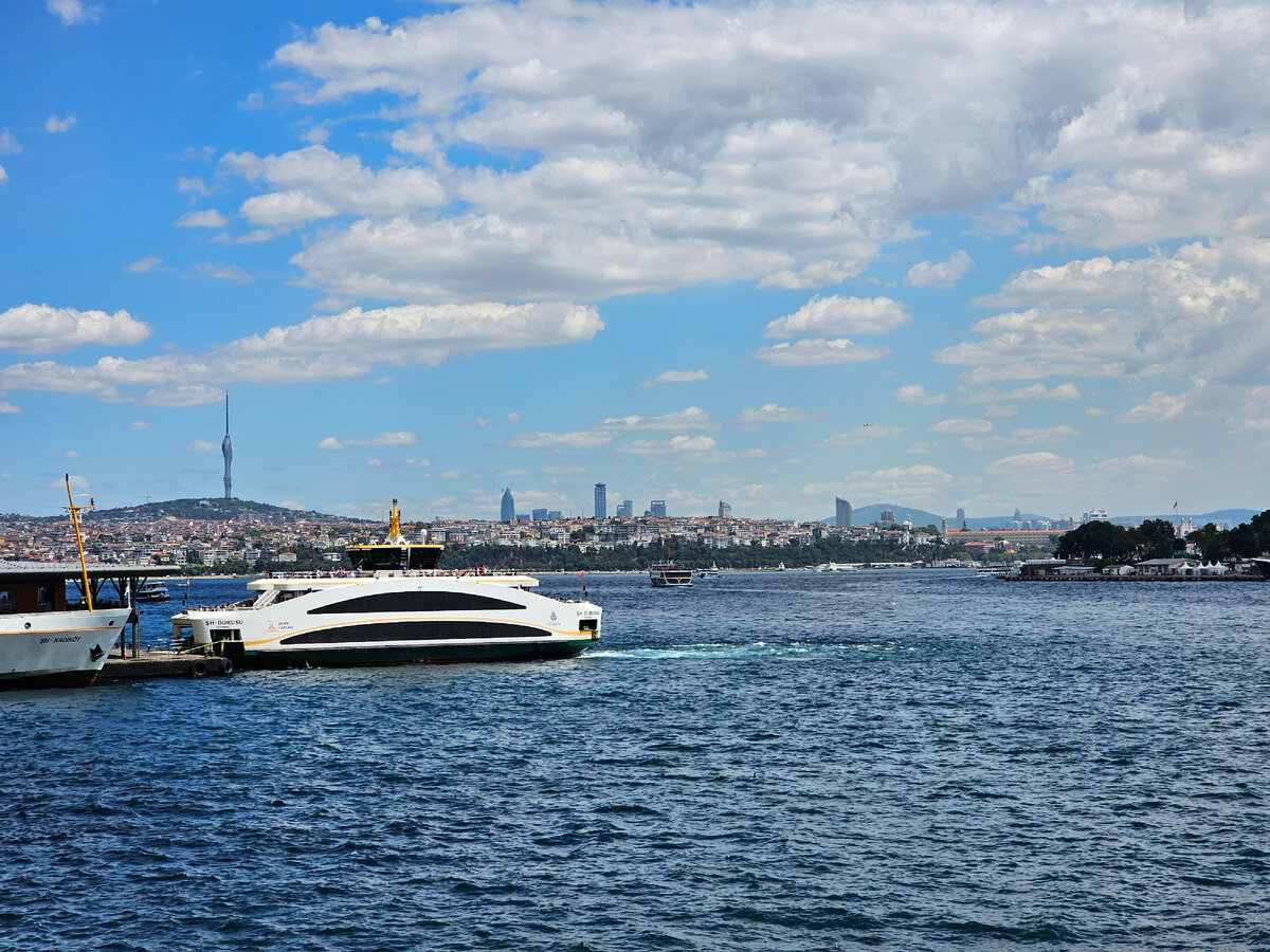 через Босфор хорошо развита система паромных переправ и всевозможных морских экскурсий