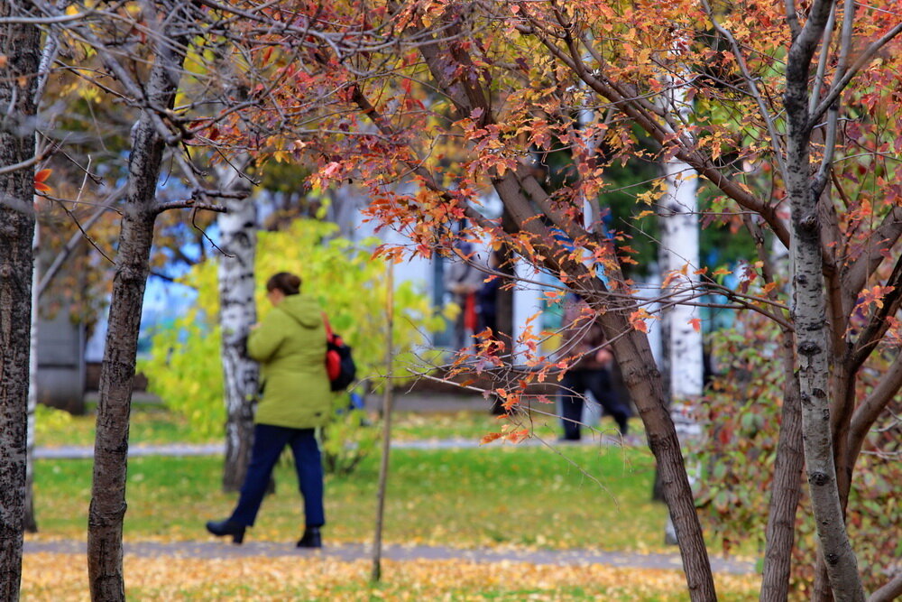 Погулять в академгородке