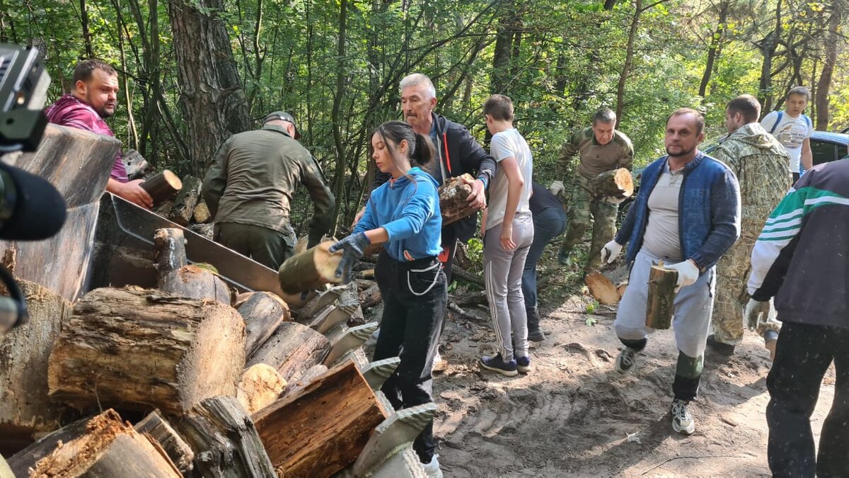    В Курске проходит традиционная заготовка дров для участников СВО