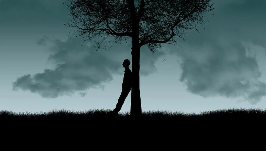 Изображение из Яндекс Дзен