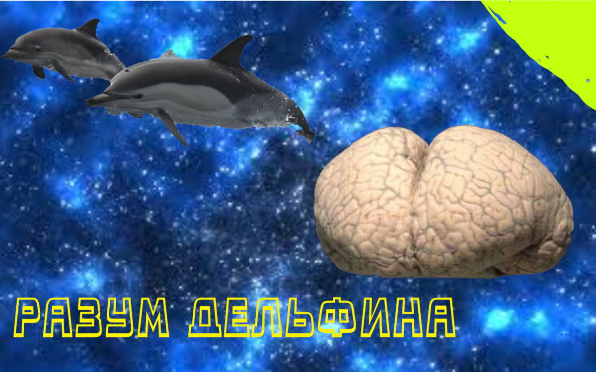Не самое удачное превью