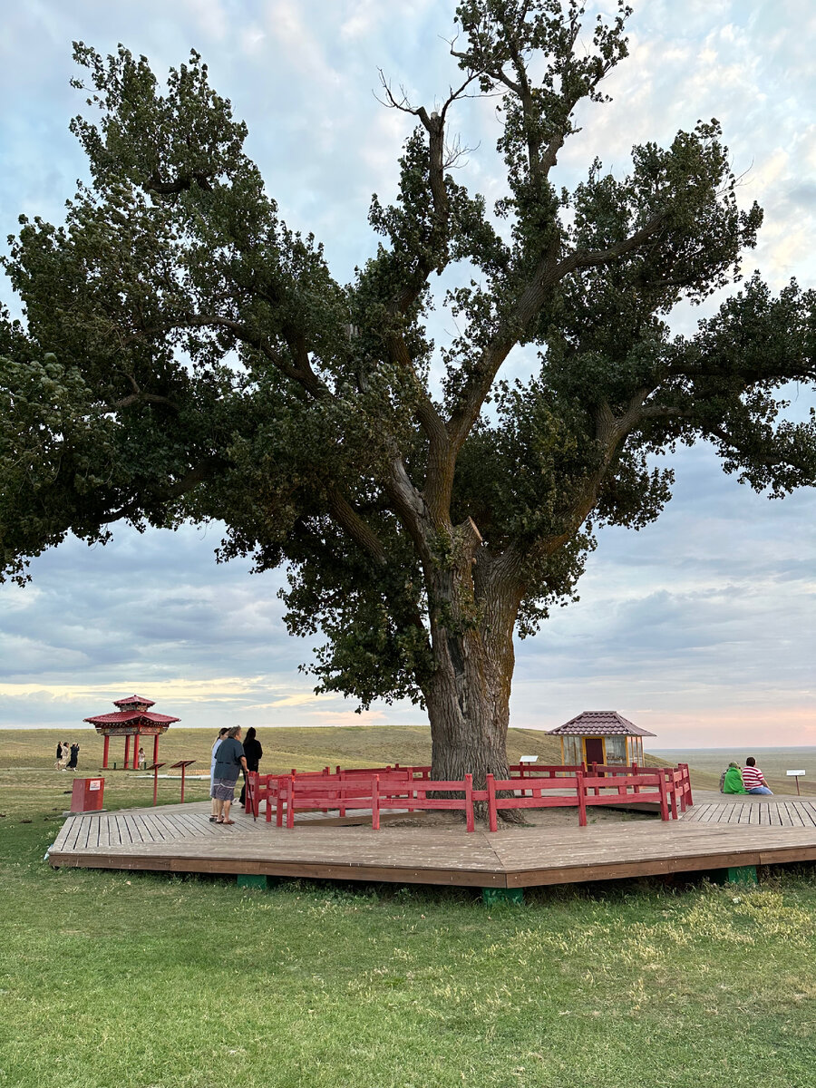 Одинокий тополь 