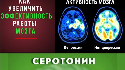 Мозг быстро стареет, истощается из-за нехватки серотонина, 