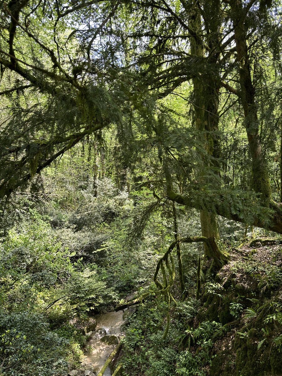 Сочи 30 лет назад фото