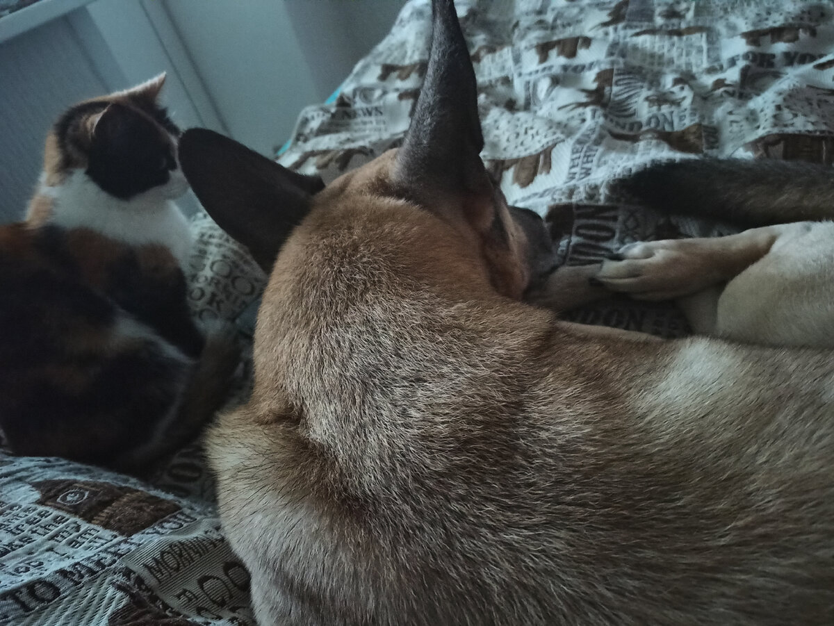 Фото автора. 