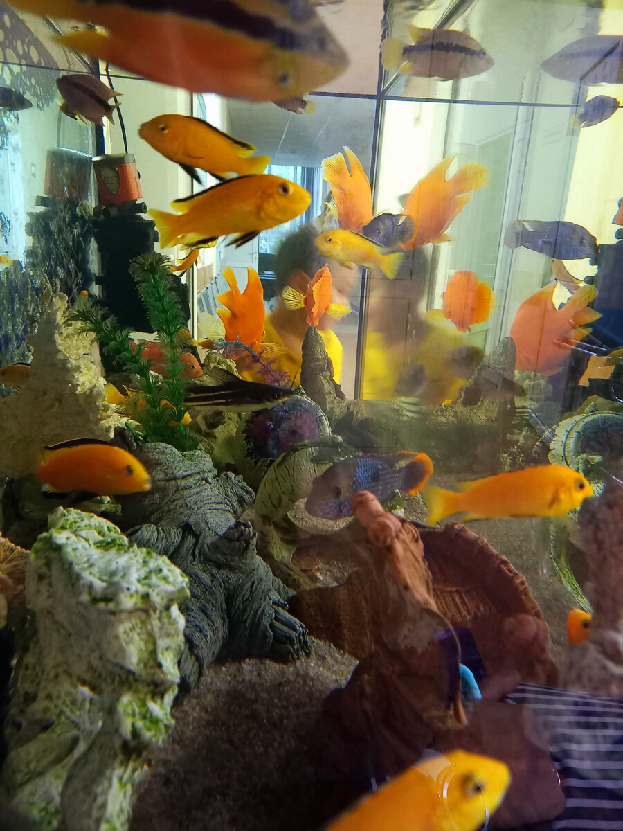 Аквариум в отделении 