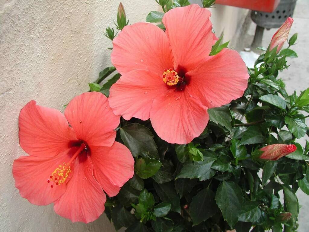 Фото: 2-kartinki.ru