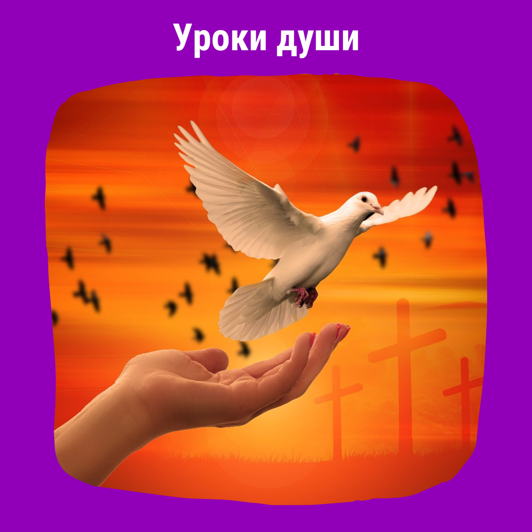 уроки души. урок души 10. уроки души фото. метафорические карты уроки души галерея. уроки жизни.