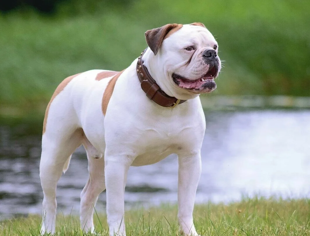 вот такое вот я ждала 