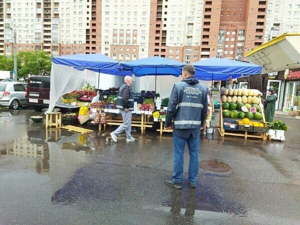 Представители комитета по контролю за имуществом за работой. Фото: ККИ