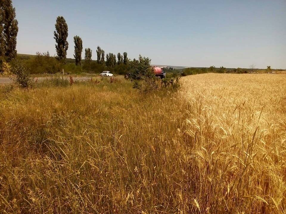 Николаевская область отзывы. Херсонская область поля. Поле фото. Николаевские поля.