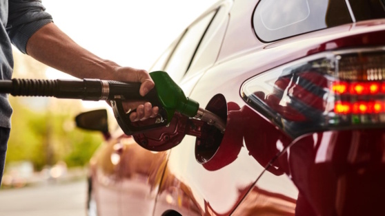    ФАС предлагает увеличить биржевые продажи нефтепродуктов Дмитрий Коптев