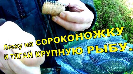 Рецепты прикормки для фидера своими руками