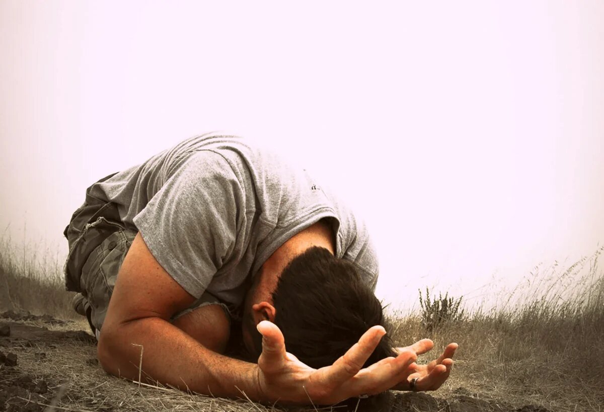 Фото взято из открытых источников.