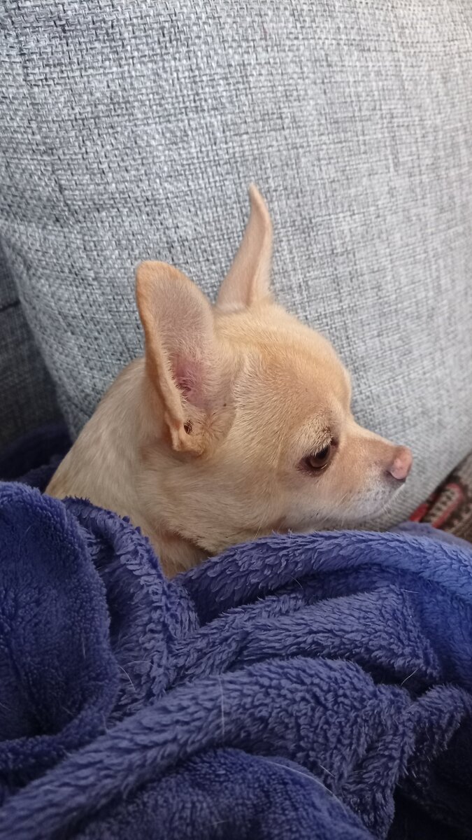 Место занято