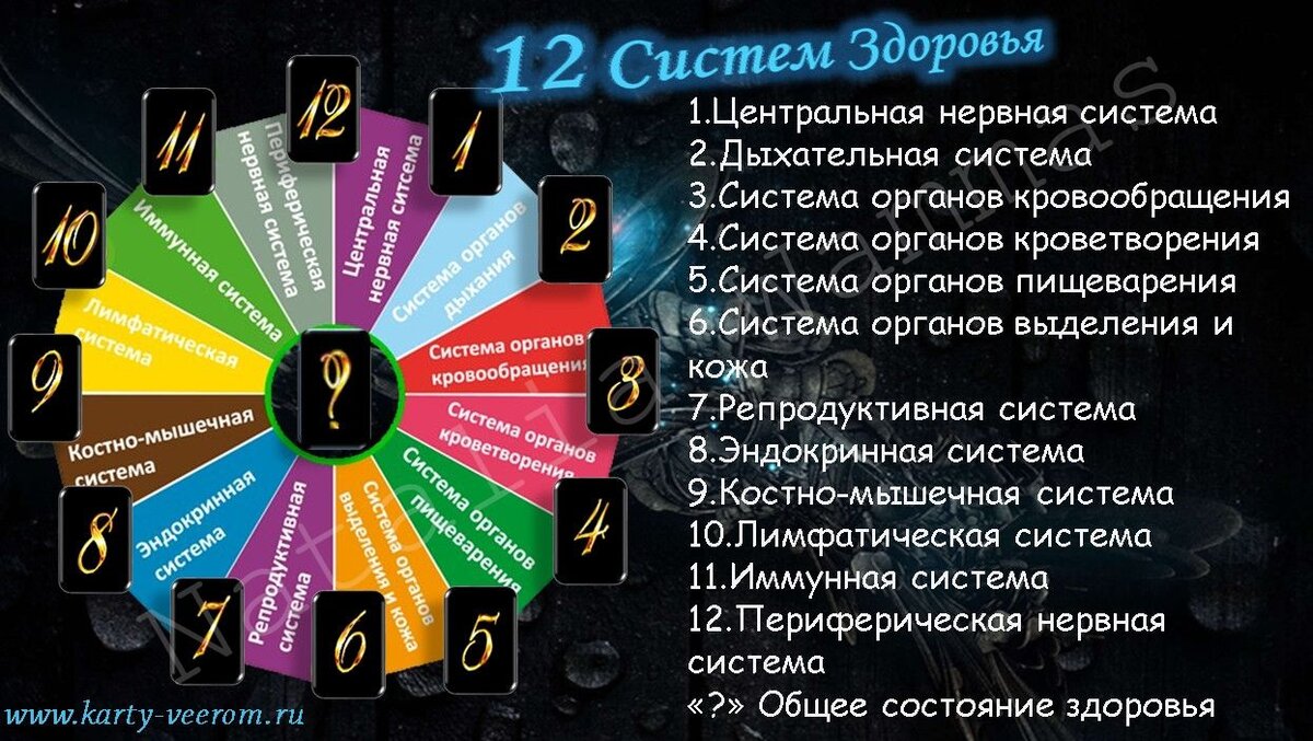 5 аркан в визитной карточке