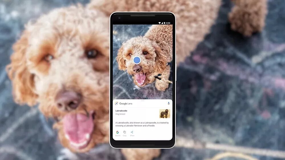 Google Lens позволяет определять и контекстуализировать объекты, на которые вы направляете свой телефон