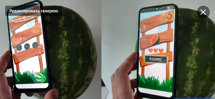 Проверка спелости арбуза с помощью смартфона и приложения Приложение "Watermelon Prober"   Коллаж автора