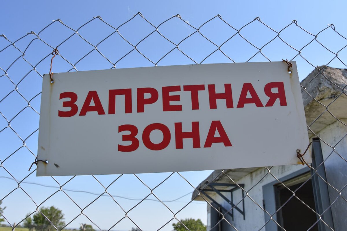 Фото: Гала Амарандо