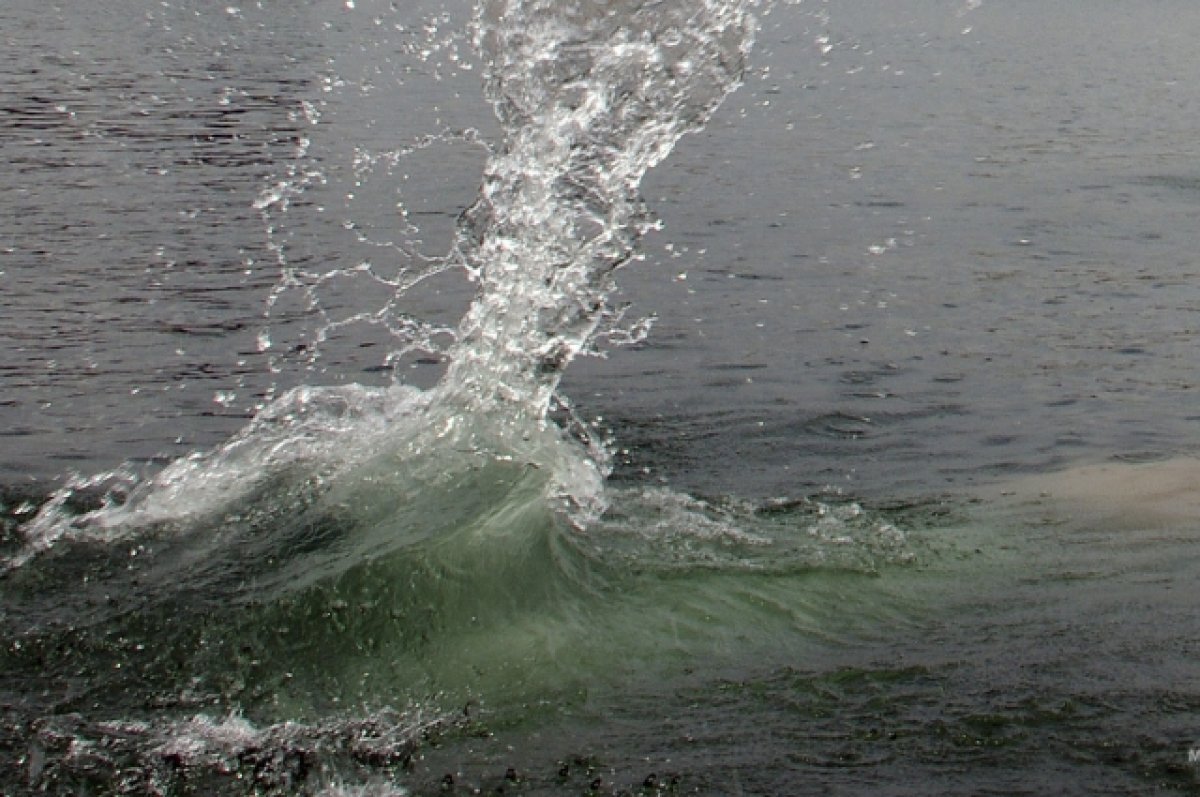    Под Новосибирском 13-летний мальчик утонул в реке Иня