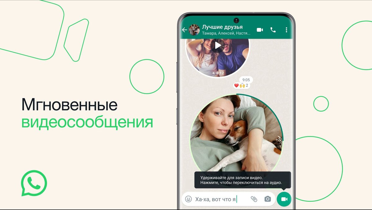 В WhatsApp появились «видеокружки». Теперь он окончательно похож на  Telegram | Цифровой Океан | Дзен