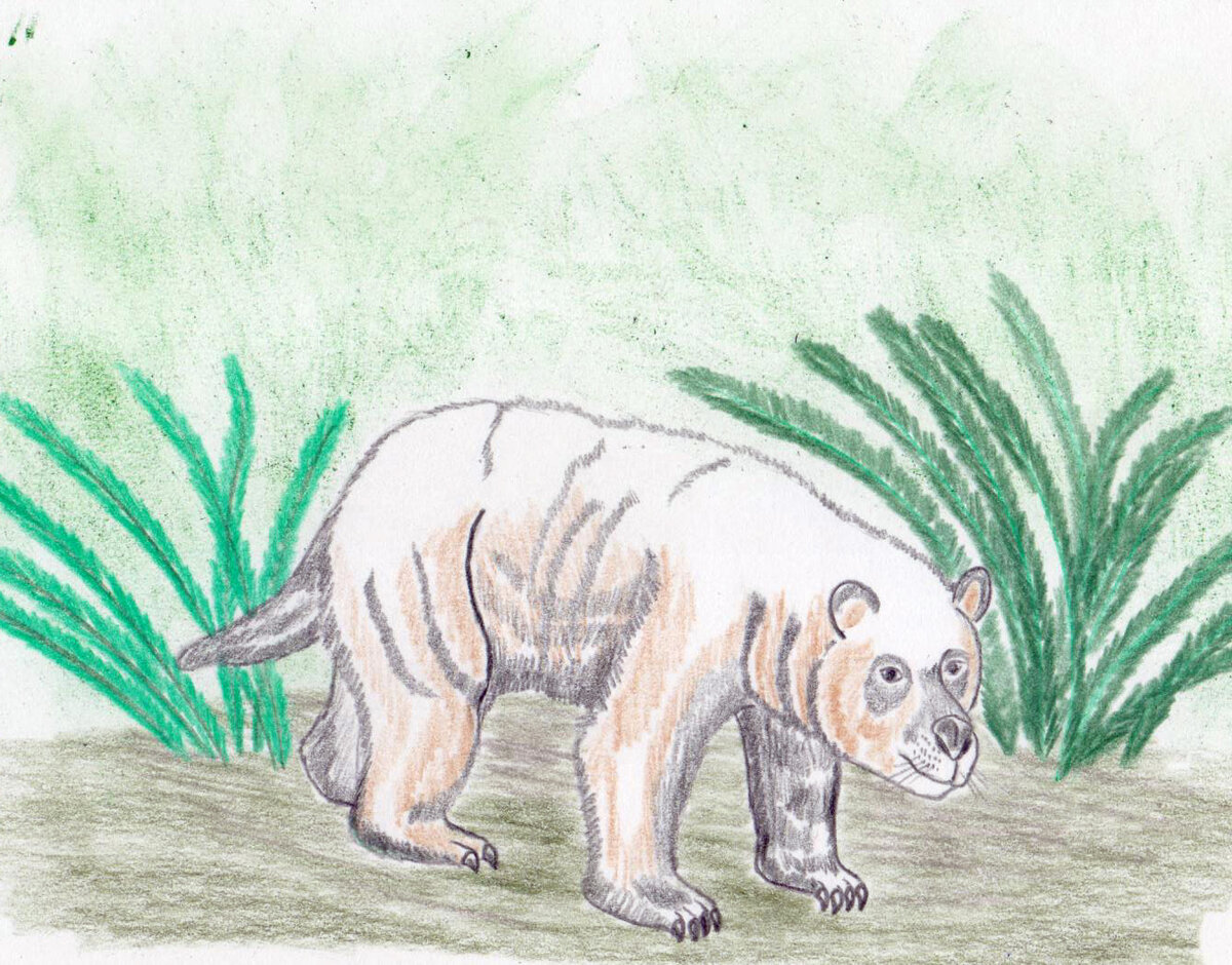 Hulitherium tomasettii