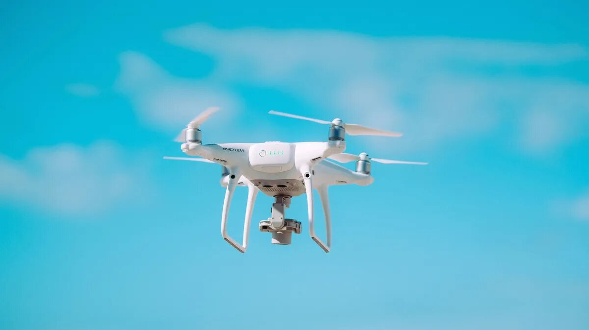 Фото: pixnio.com