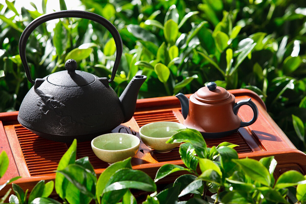 Про китайский чай. Китайский чай. Чайная церемония. Японский чай. Чайная церемония в Китае.