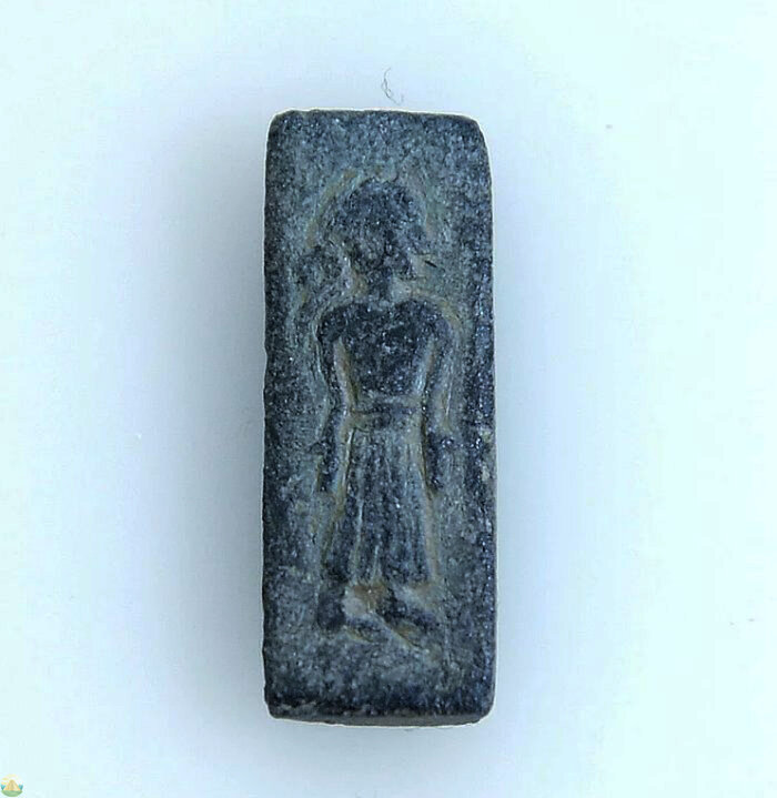 редкие древние. динозавры. необычные динозавры. окаменелости морские лилии криноидеи окаменелости. глиптодон вымершие.