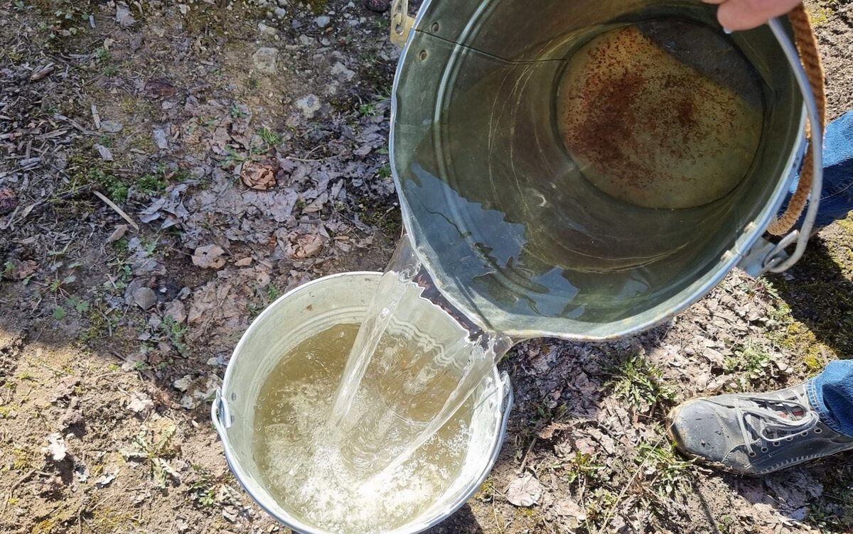 полив растений холодной водой