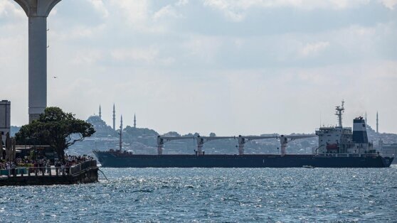    РИА Новости: Анкара ведет переговоры со странами Запада по возобновлению "зерновой сделки" Ирина Петрова