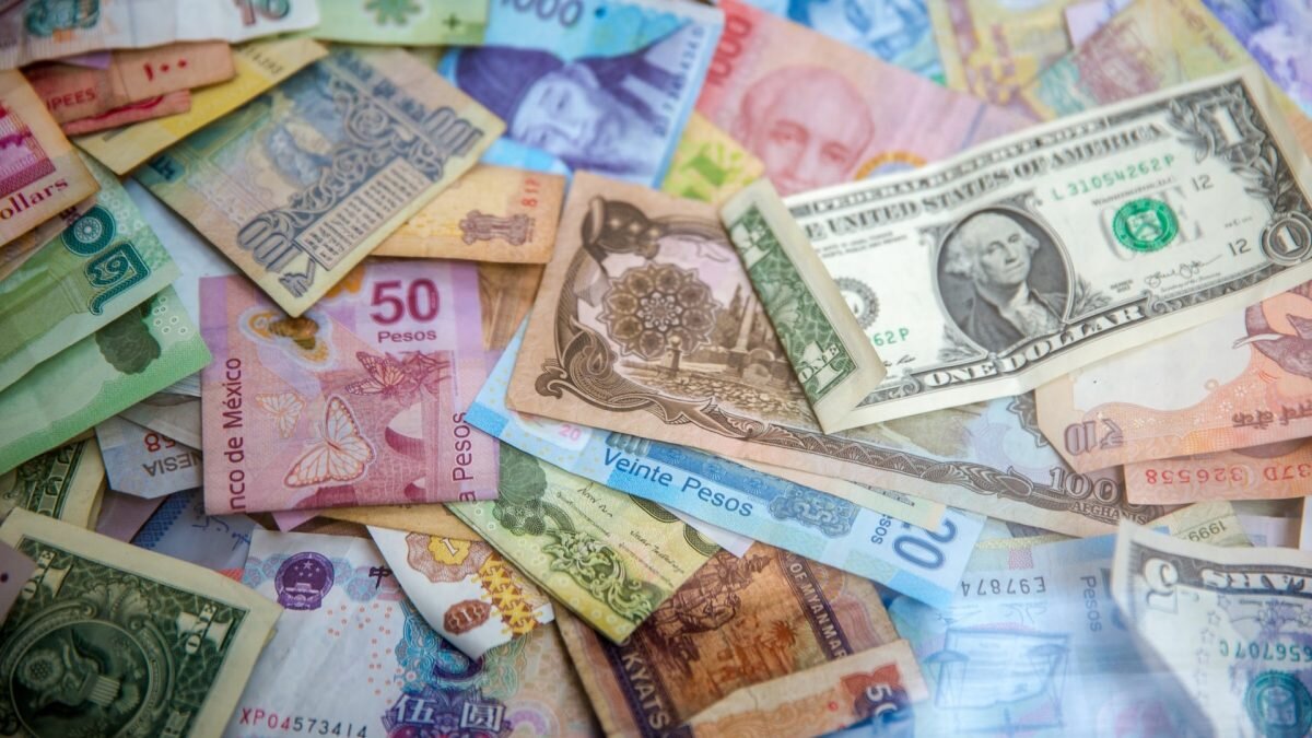    Фото: Jason Leung / Unsplash Амин Абдулманов