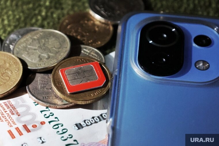    Причиной убийства в сургутском садовом товариществе стал сотовый телефон