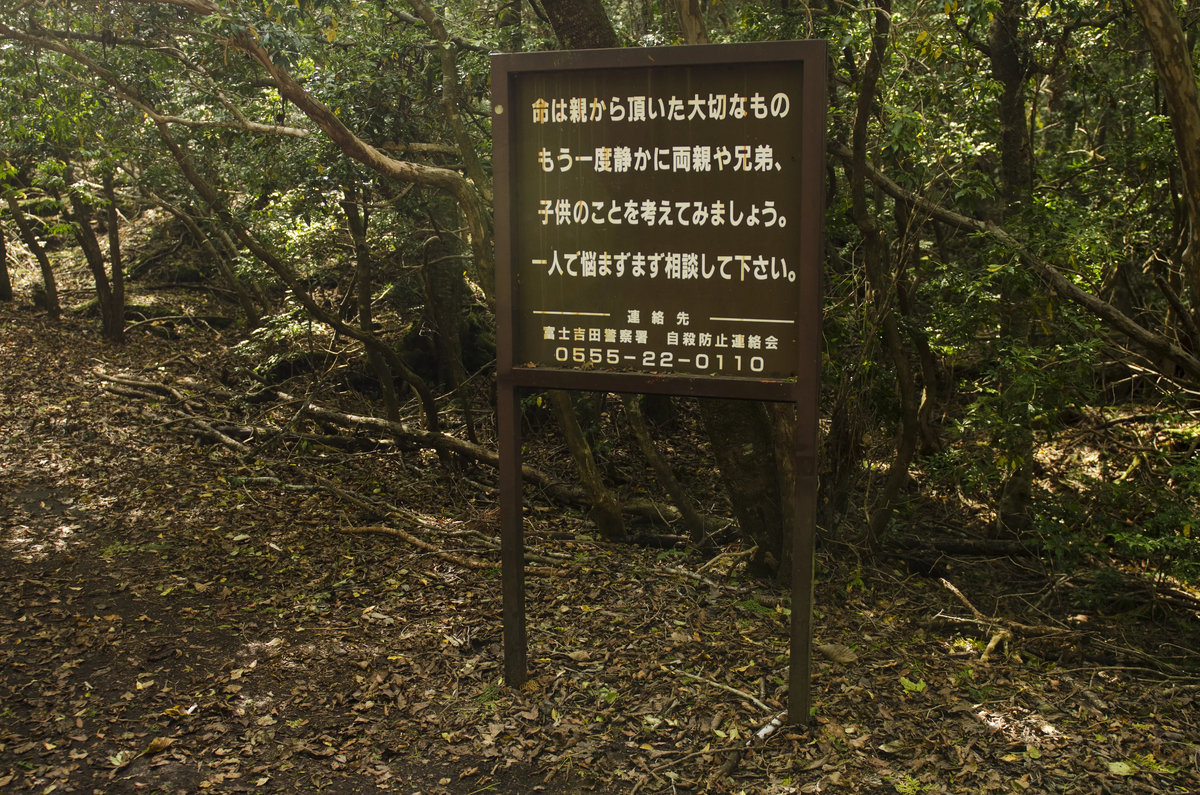 Табличка с предостережениями для посетителей леса