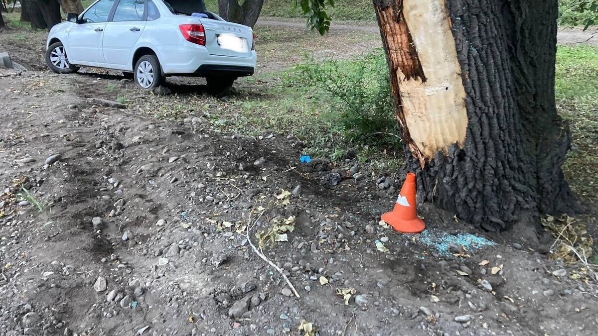     В Абакане подросток за рулем LADA Granta устроил ночную погоню с сотрудниками ГИБДД. Однако не справился с управлением и врезался в дерево.