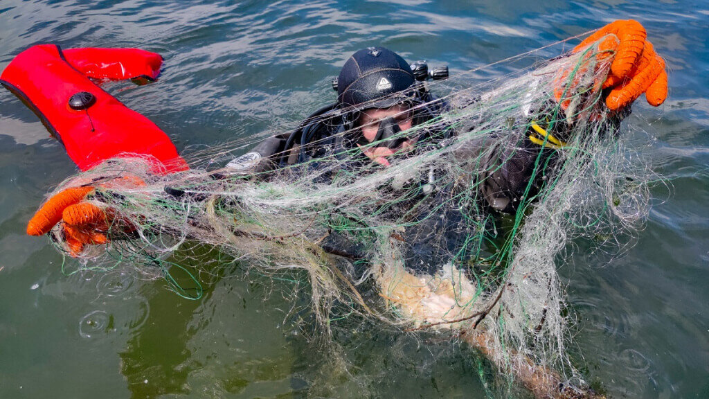    Фото: Роман Воробьев и Татьяна Клименко / берегдобрыхдел.рф