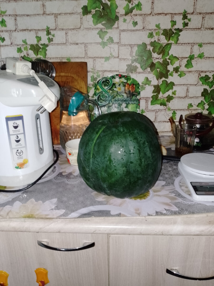 4120 гр. Сахарный малыш