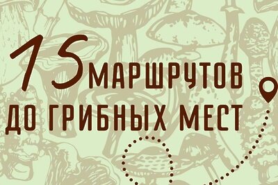   Маршруты до грибных мест © Пресс-служба Министерства транспорта и дорожной инфраструктуры Московской области